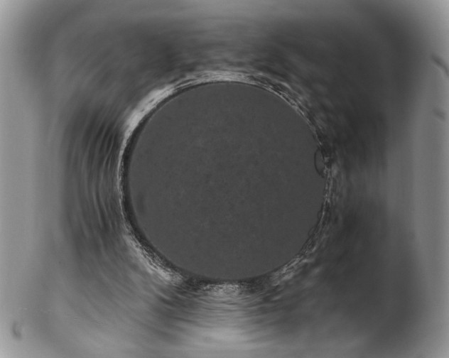 X0000102800104200808181209