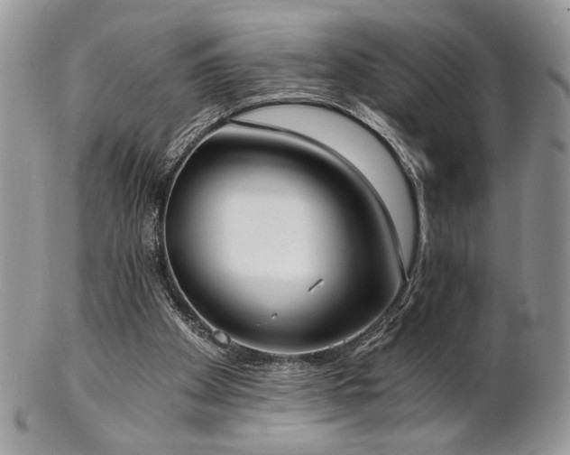 X0000102800105200808181209