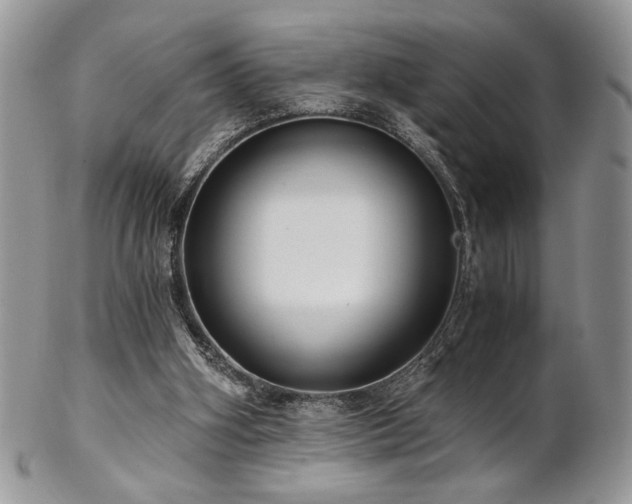 X0000102800106200808181209