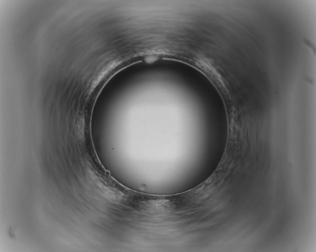 X0000102800108200808181209