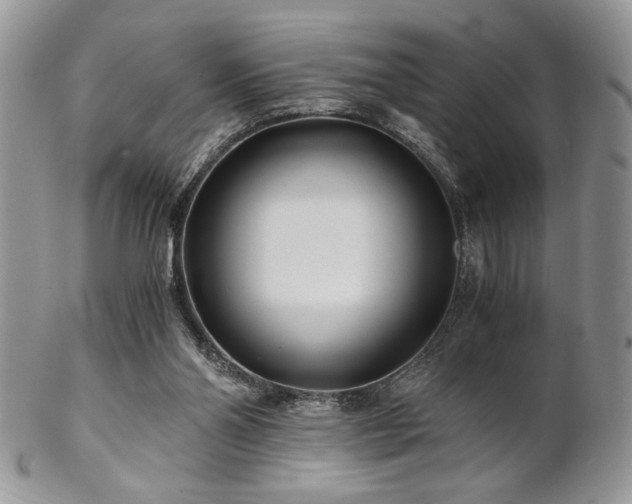 X0000102800110200808181209
