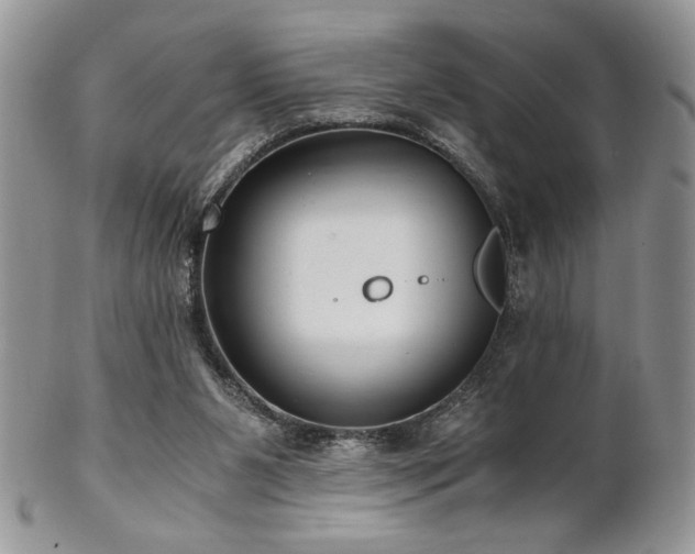 X0000102800111200808181209