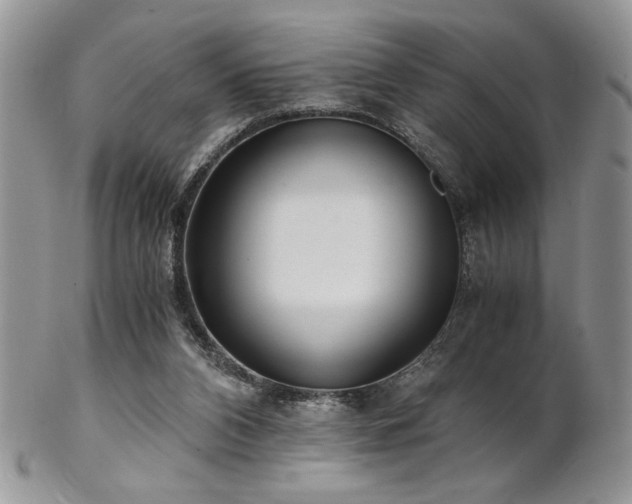 X0000102800112200808181209