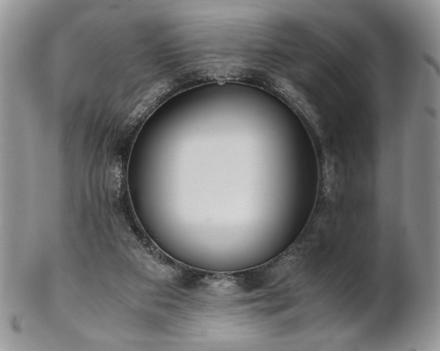 X0000102800113200808181209