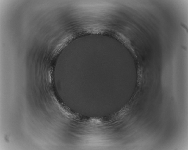 X0000102800114200808181209