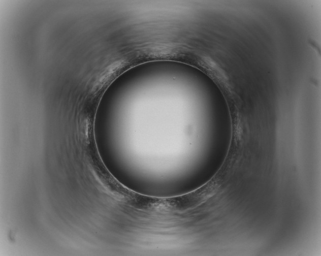 X0000102800115200808181209