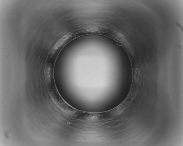 X0000102800116200808181209