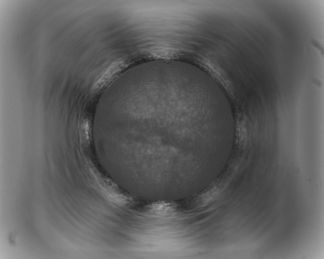 X0000102800117200808181209