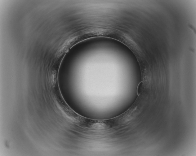 X0000102800119200808181209