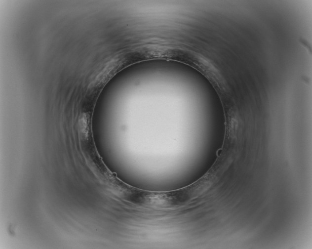 X0000102800121200808181209