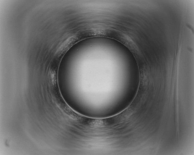 X0000102800123200808181209