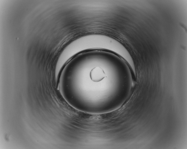 X0000102800124200808181209