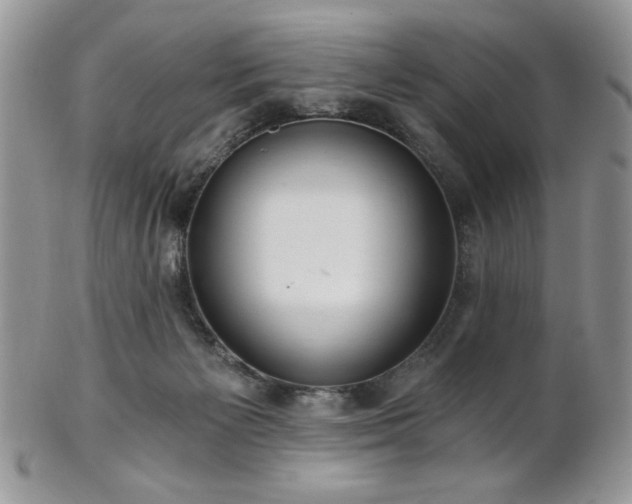 X0000102800125200808181209