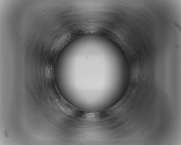 X0000102800126200808181209