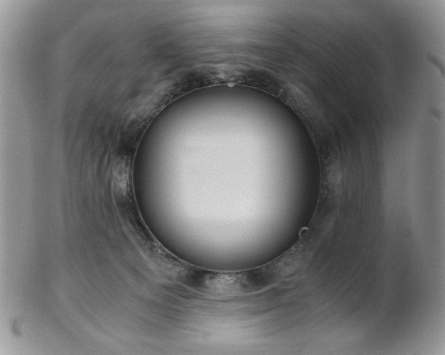 X0000102800129200808181209