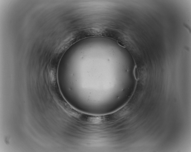 X0000102800131200808181209