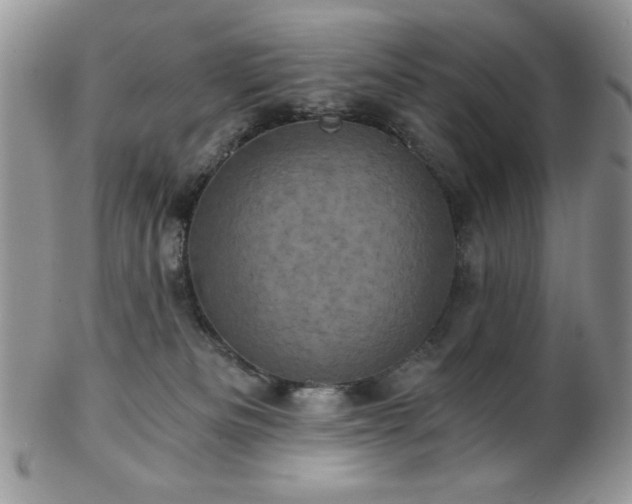X0000102800133200808181209