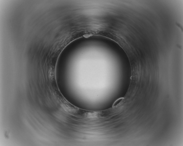 X0000102800134200808181209