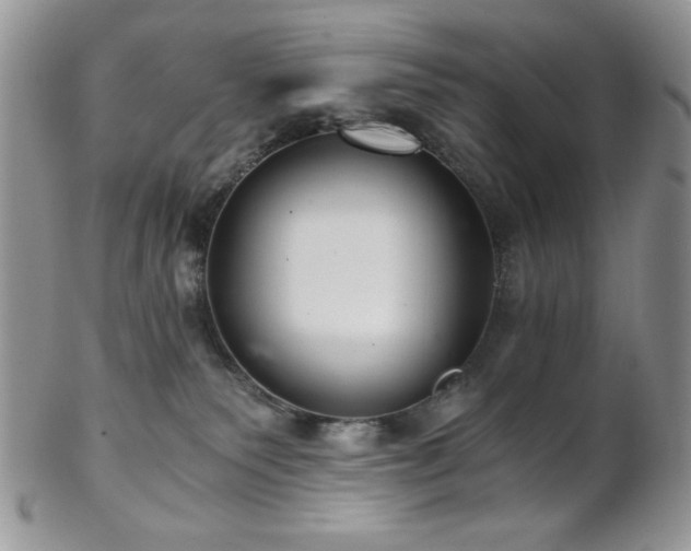 X0000102800135200808181209