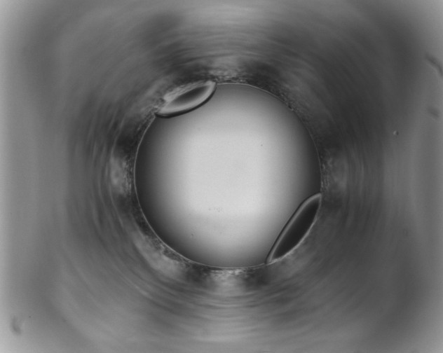 X0000102800136200808181209