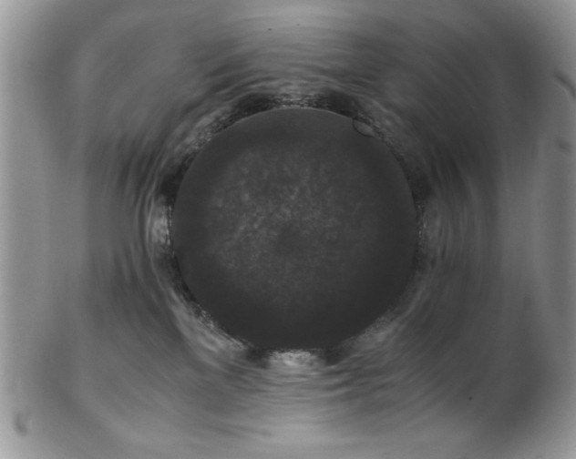 X0000102800137200808181209