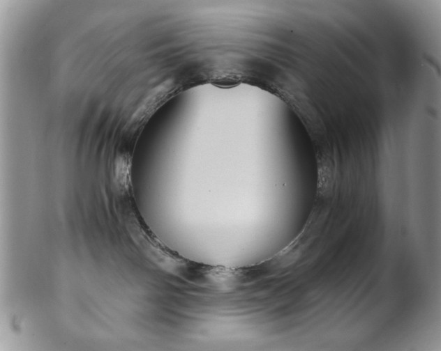 X0000102800142200808181209