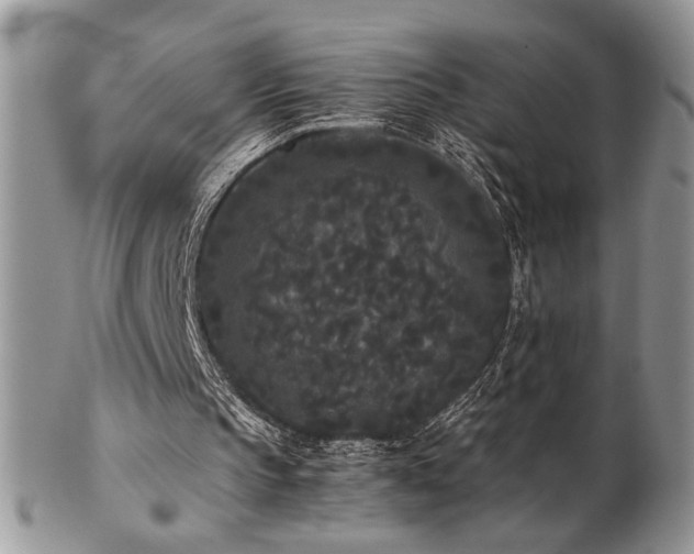 X0000102800145200808181208