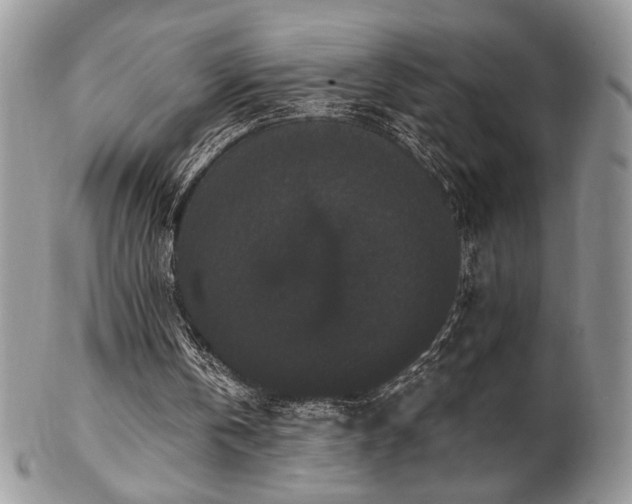 X0000102800146200808181208