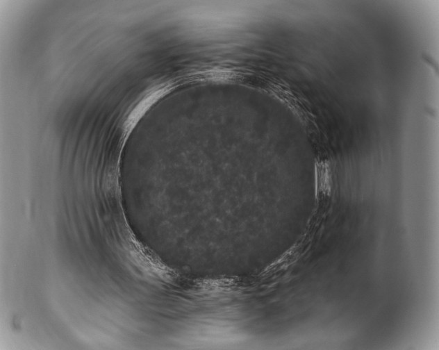 X0000102800147200808181208