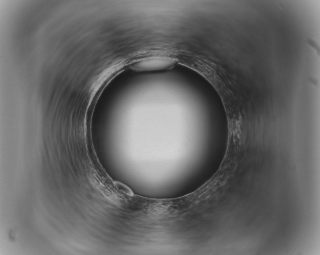 X0000102800148200808181208