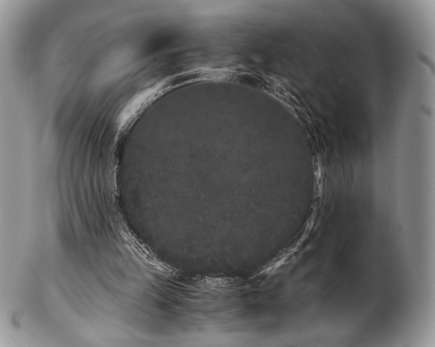 X0000102800149200808181208