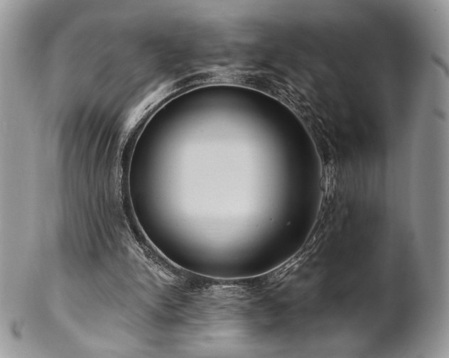 X0000102800150200808181208