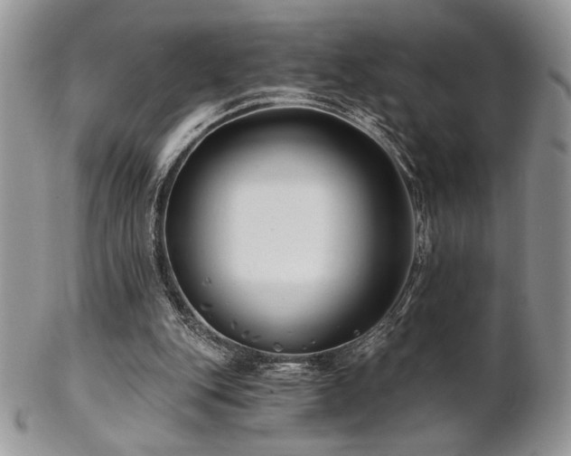 X0000102800151200808181208