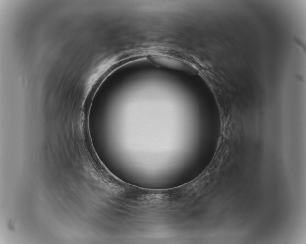 X0000102800152200808181208