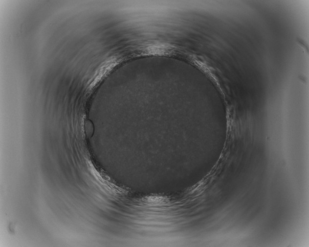 X0000102800154200808181208