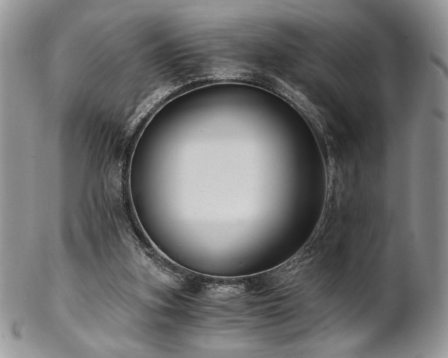 X0000102800155200808181208