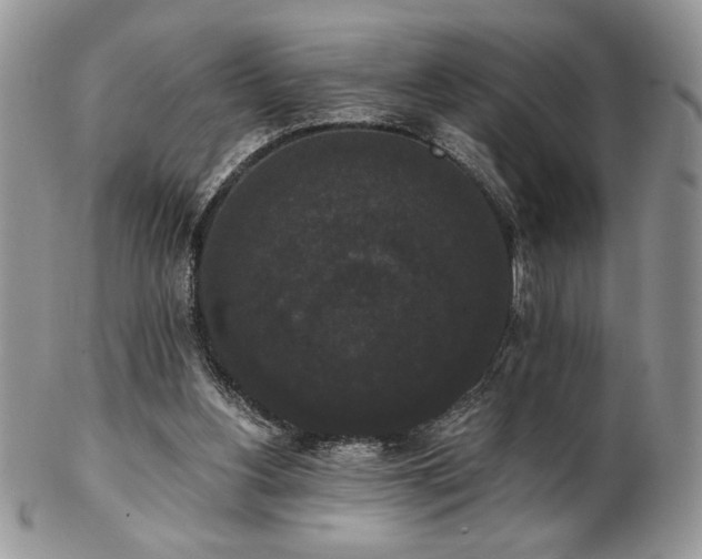 X0000102800156200808181208