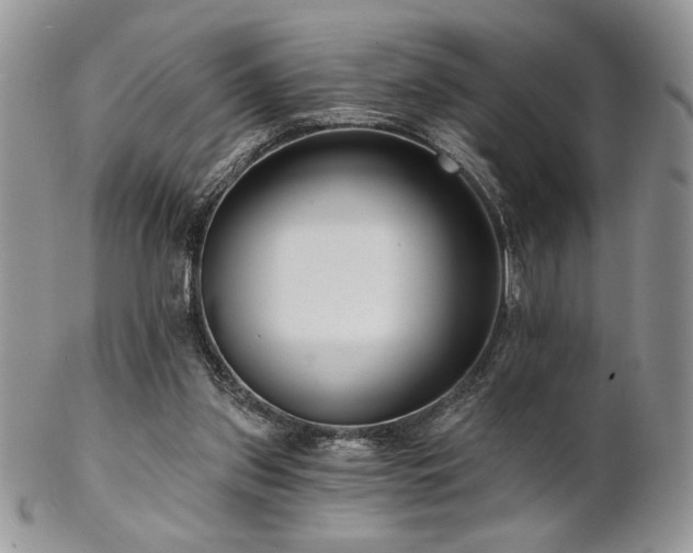 X0000102800157200808181208
