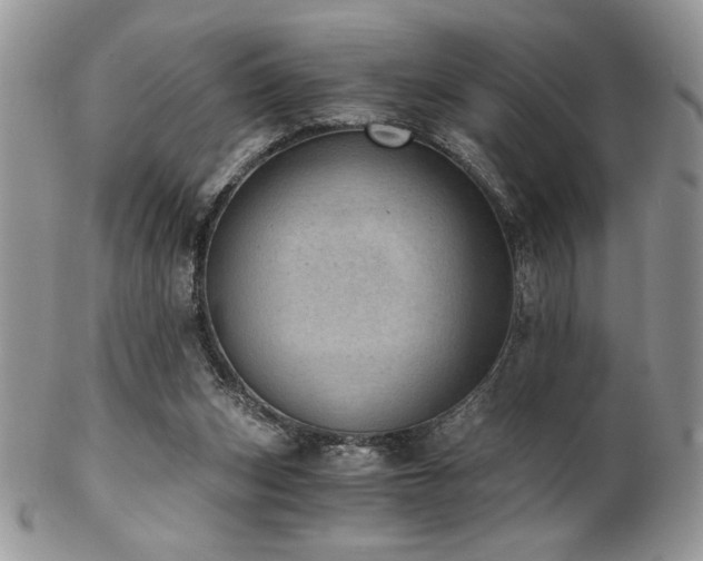 X0000102800159200808181208