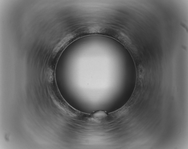 X0000102800164200808181208