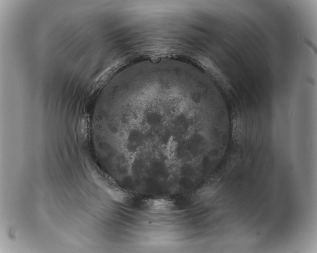 X0000102800165200808181208