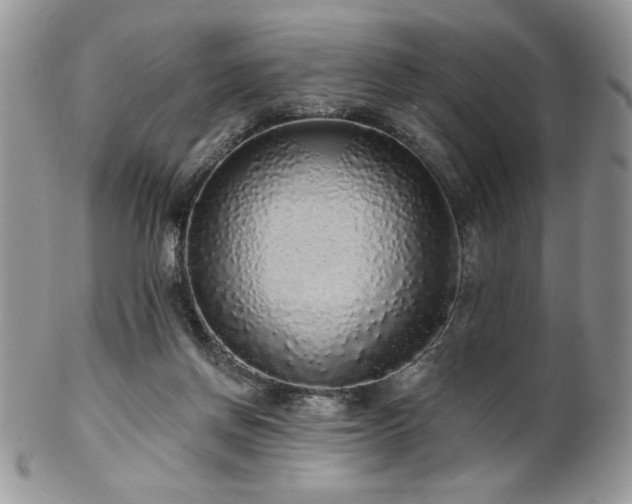 X0000102800166200808181208