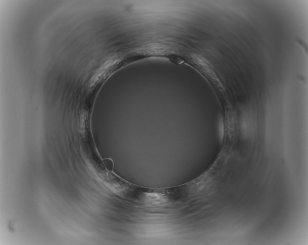 X0000102800167200808181208