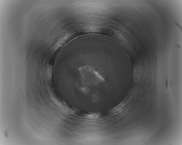 X0000102800168200808181208