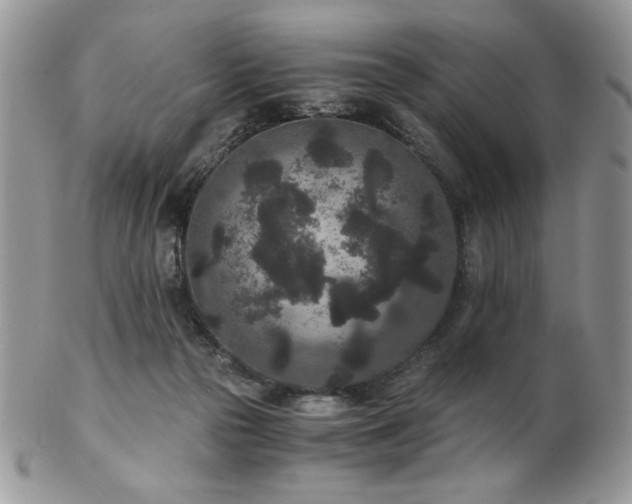 X0000102800169200808181208
