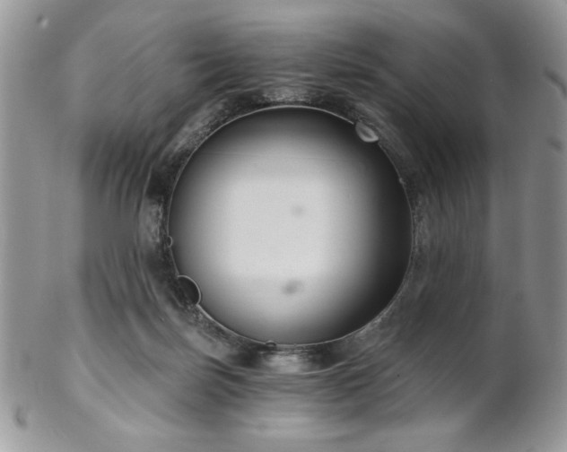 X0000102800171200808181208