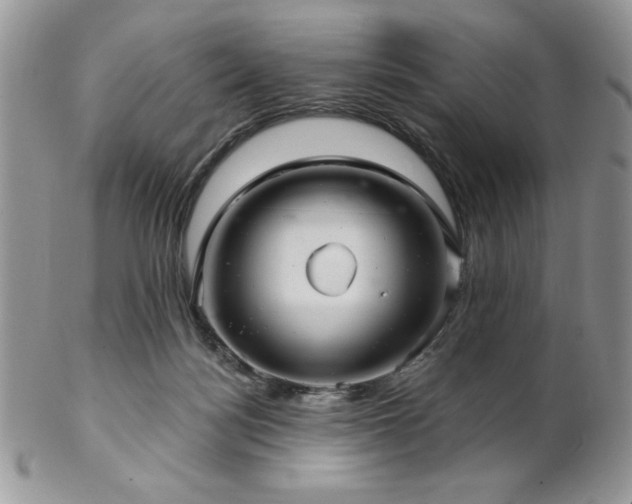 X0000102800172200808181208