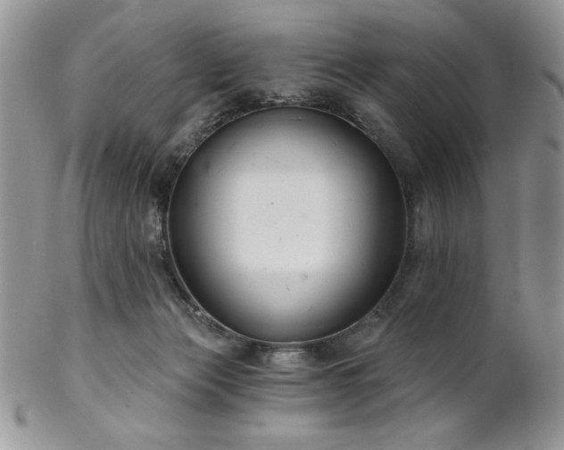 X0000102800173200808181208