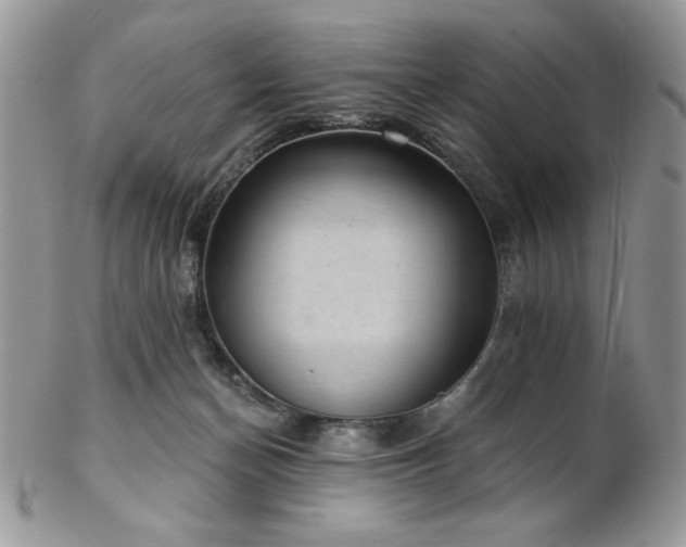 X0000102800174200808181208