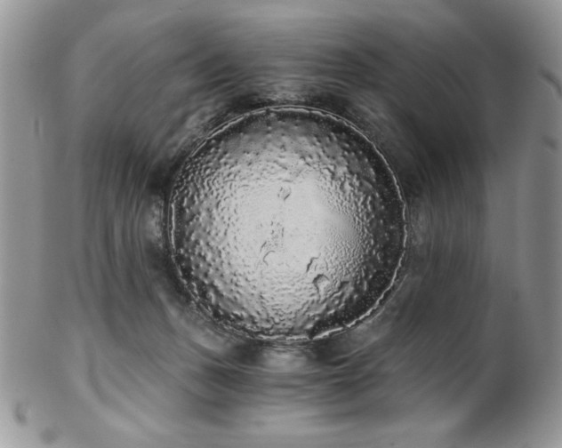 X0000102800175200808181208